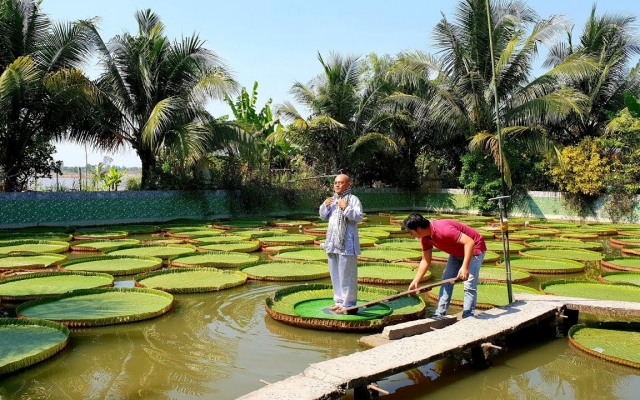 Review trọn bộ kinh nghiệm du lịch Đồng Tháp tự túc: ăn gì, chơi gì?