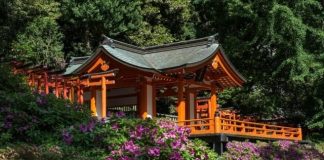 Vẻ đẹp của đền Nezu - “viên ngọc quý